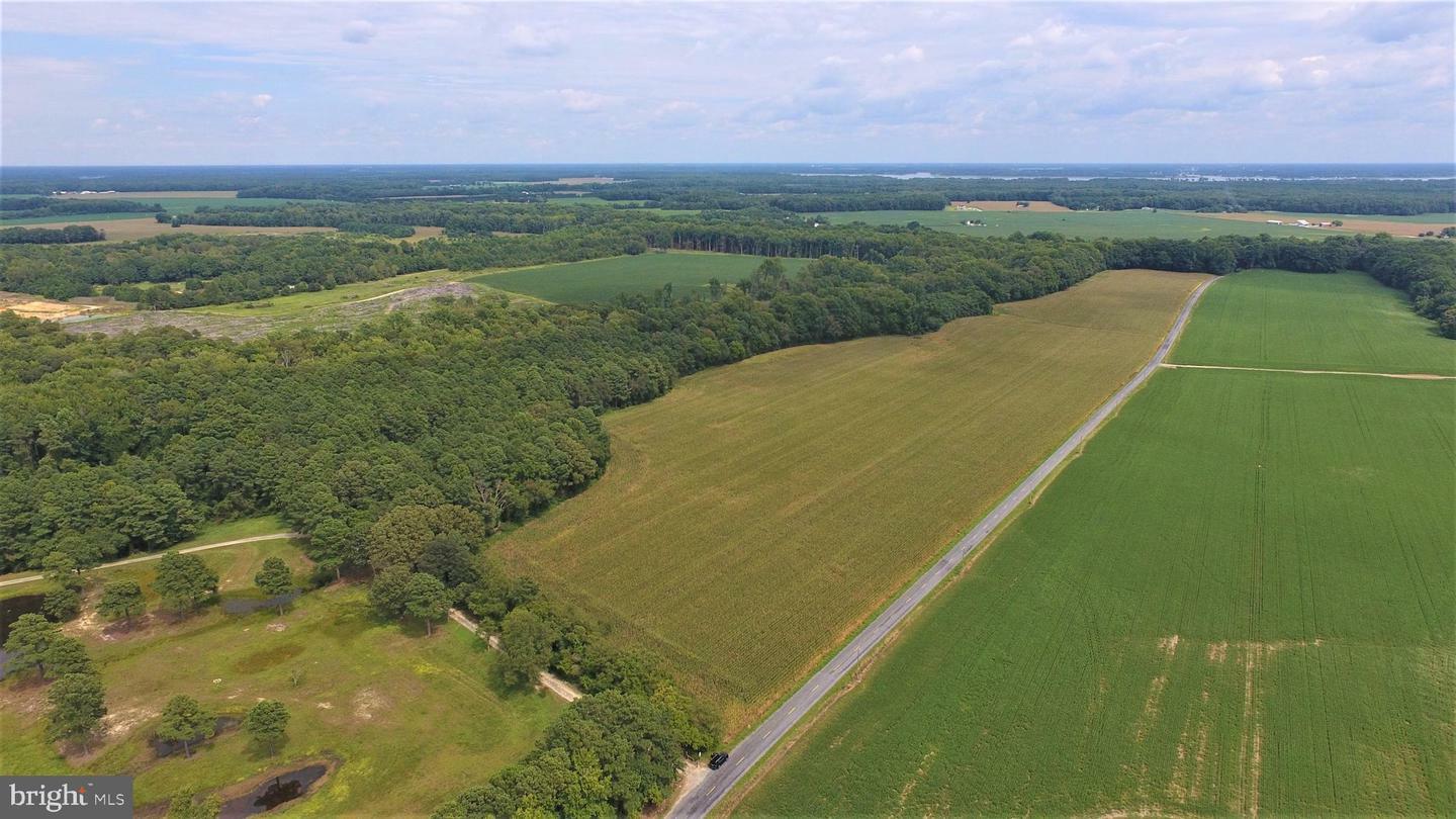 Property Photo:  Beaver Dam Road  MD 21673 