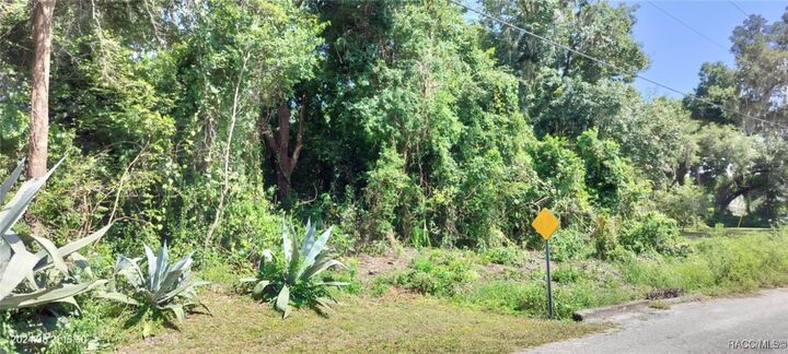 Property Photo: 1980 S Tsala Terrace FL 34450