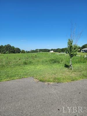 Property Photo:  0 Smith  Mountain Lake Parkway  VA 24104 