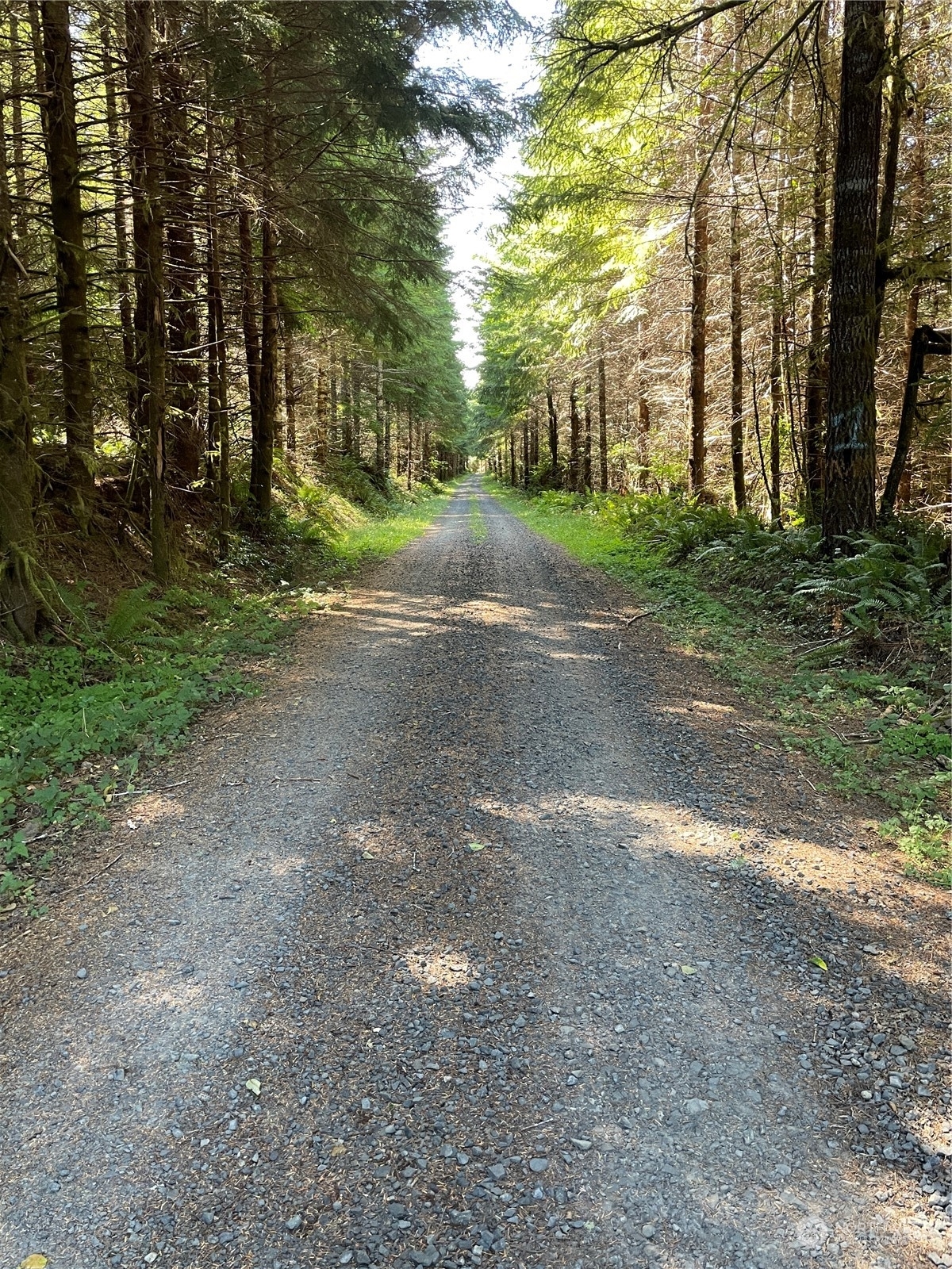 Property Photo: 0 Wiest Road WA 98632