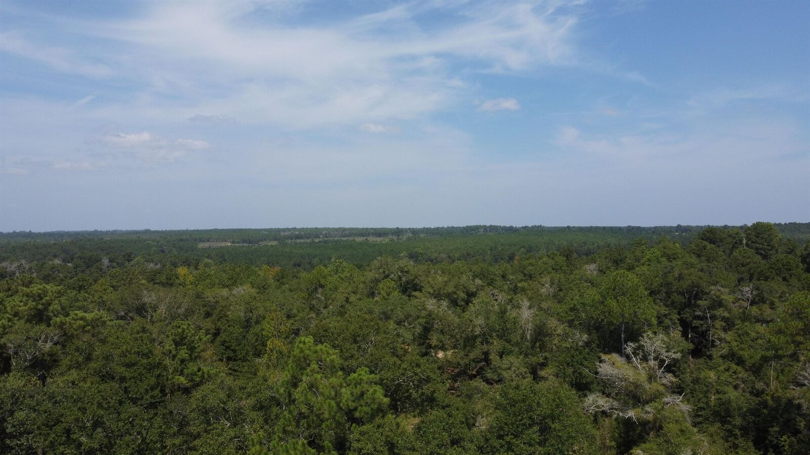 Property Photo:  390 Finuff Road  FL 32324 