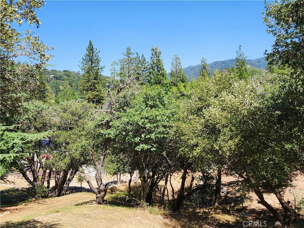 Property Photo:  24021 Bowl Road  CA 92325 