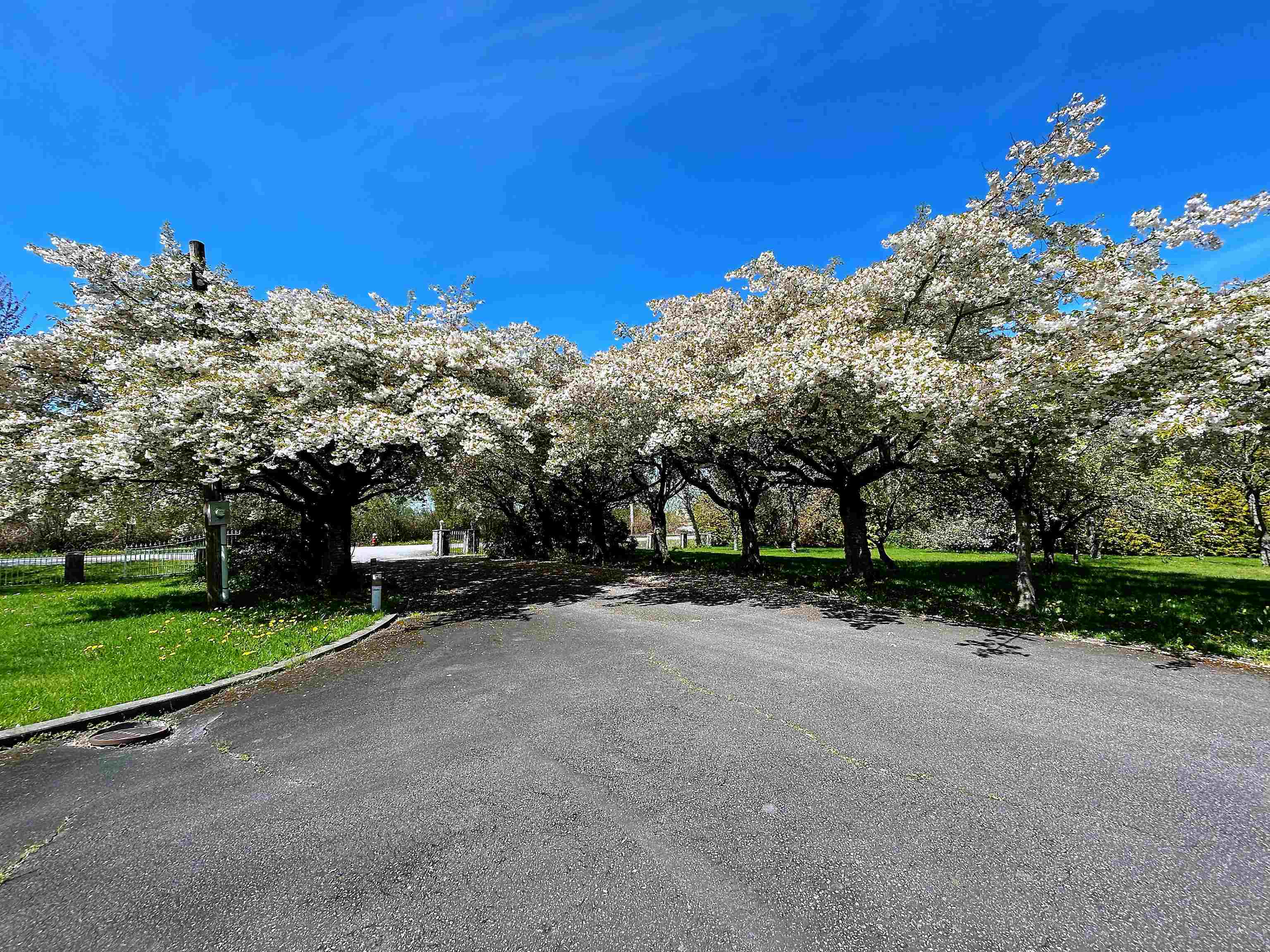 Property Photo: 10520 Sidaway Road BC V6W1C4
