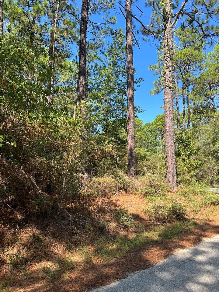 Property Photo:  420 Sparkleberry Dr.  TX 75931 