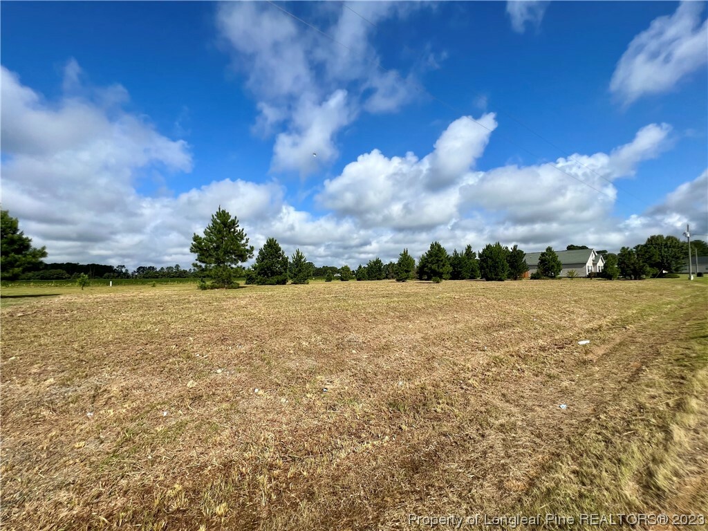 Property Photo:  Grassy Lane  NC 28384 