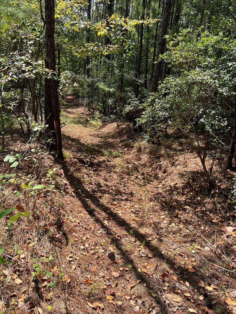 Property Photo: 131 Pine Hill Road GA 31805