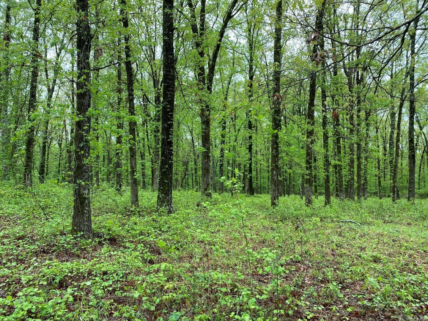 Property Photo:  Wilkerson Drive  AR 72210 