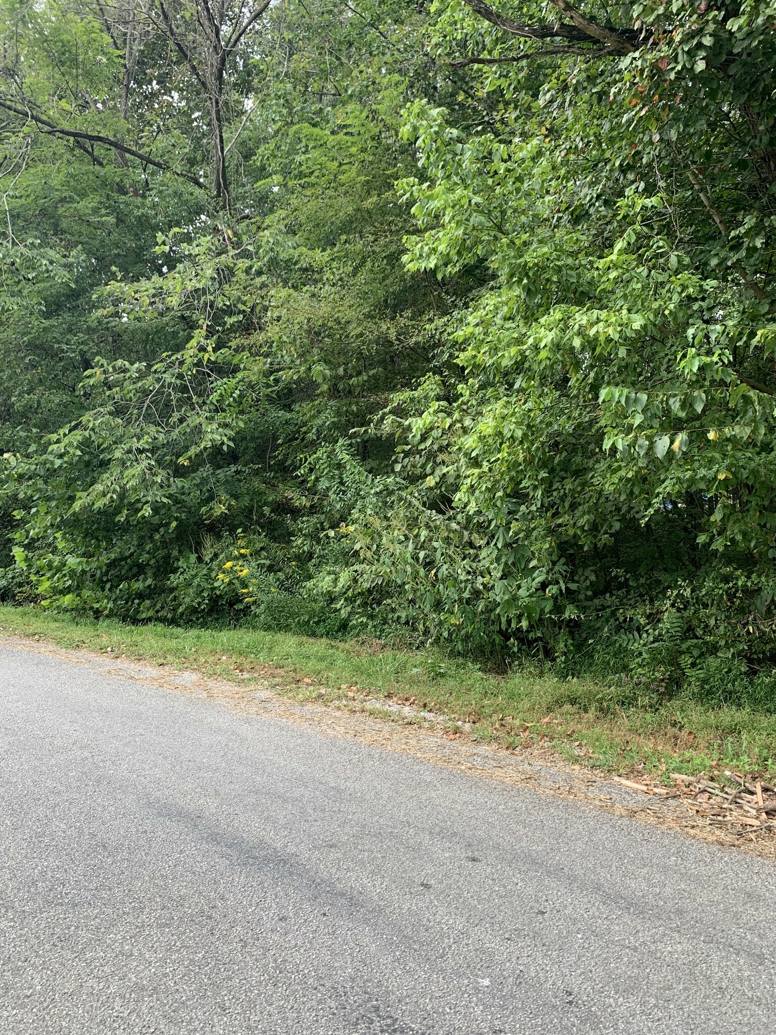 Property Photo:  0 Epperson Springs Rd  TN 37186 