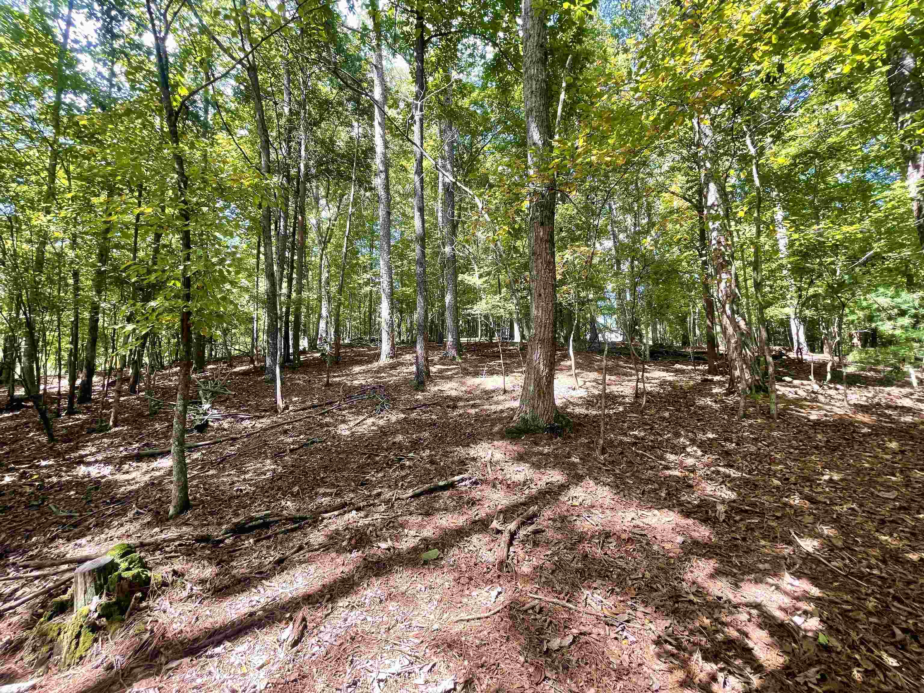 Property Photo: Lot 1272 Fleur Lane GA 30540
