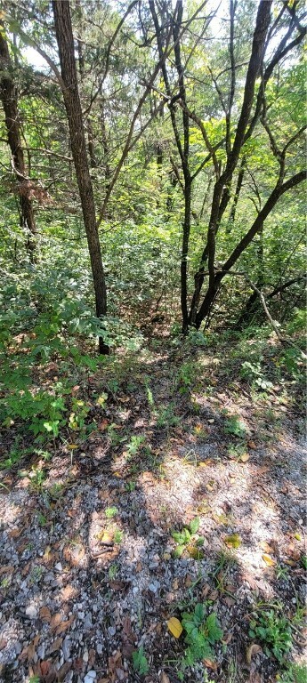 Property Photo: 59 Blackfoot Drive AR 72631