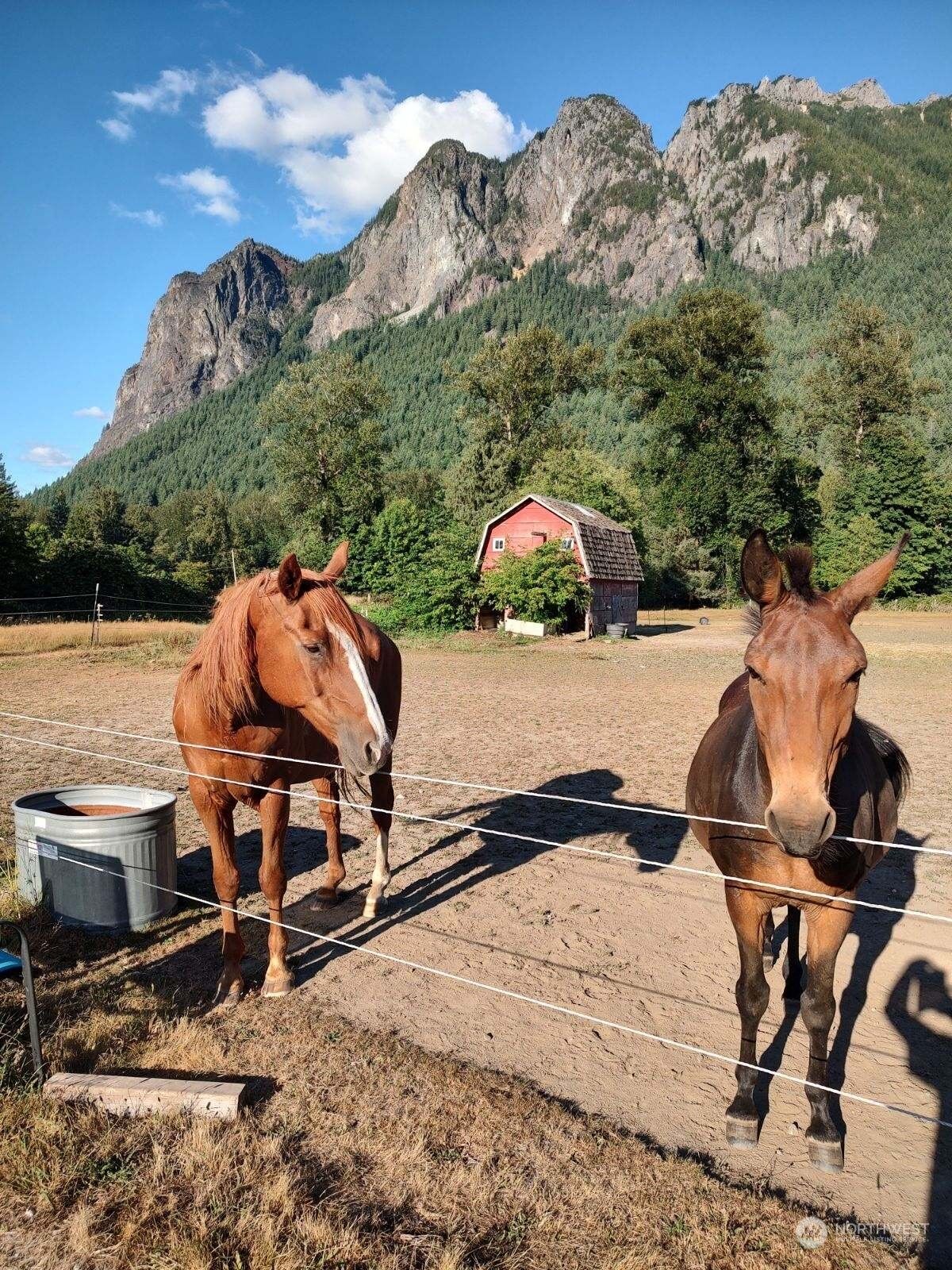 Home for sale in North Bend: 10506 428th Avenue SE, North Bend, WA 98045