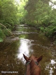 Property Photo: 12880 S Pope Lick Rd KY 40299