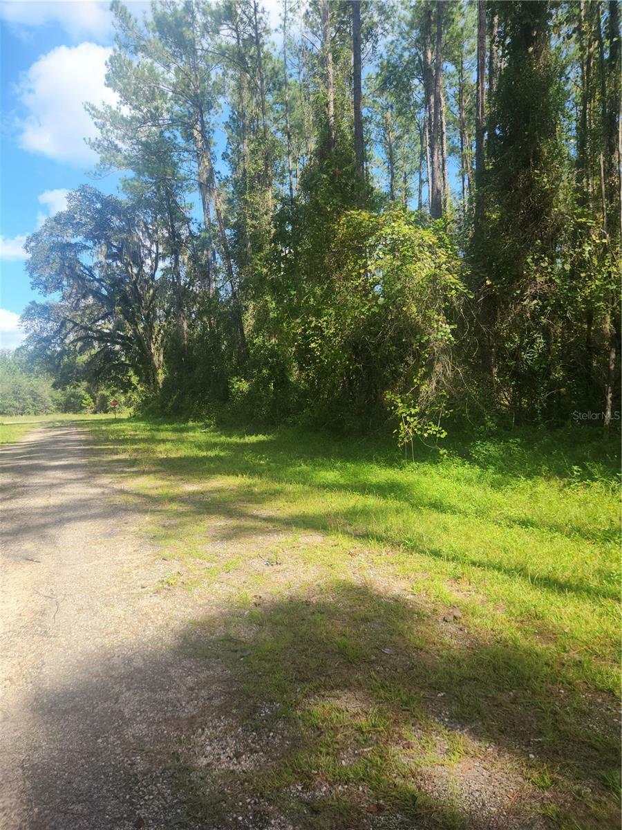 Property Photo:  1094 E Vercelli Avenue  FL 34434 