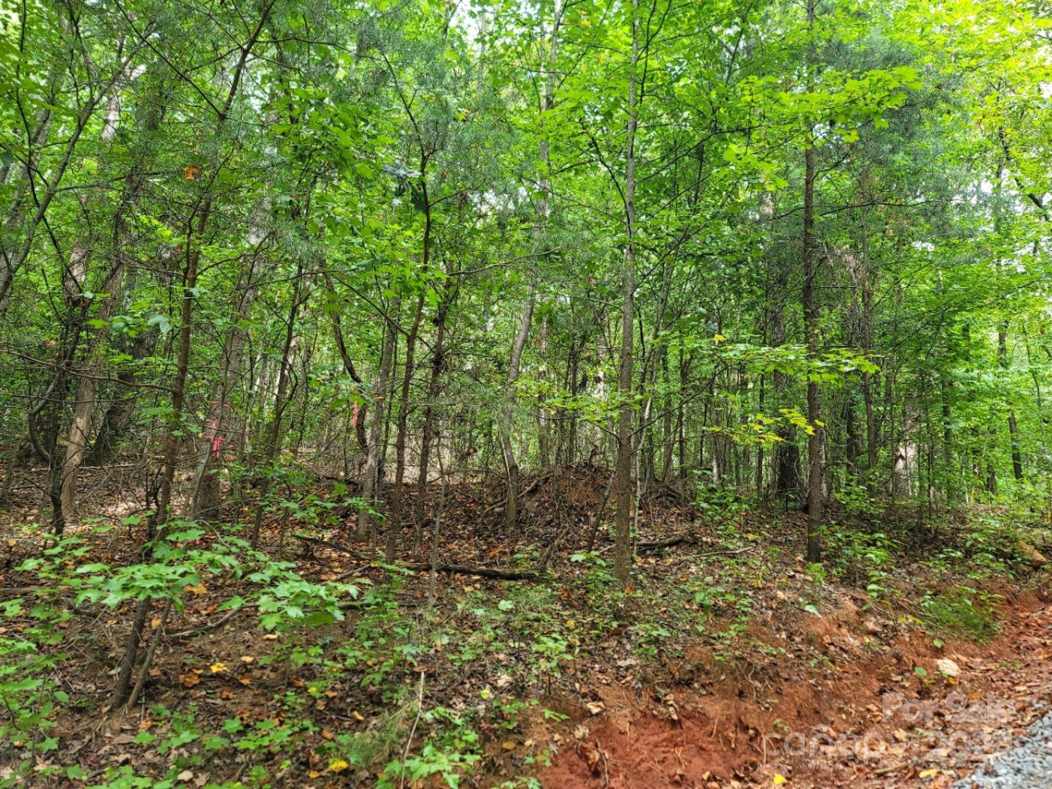 Property Photo:  120 Rocky Mountain Road  NC 28020 