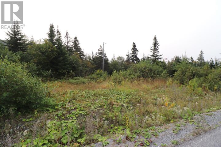 Property Photo:  8 Hollands Memorial Drive  NL A0K 3V0 
