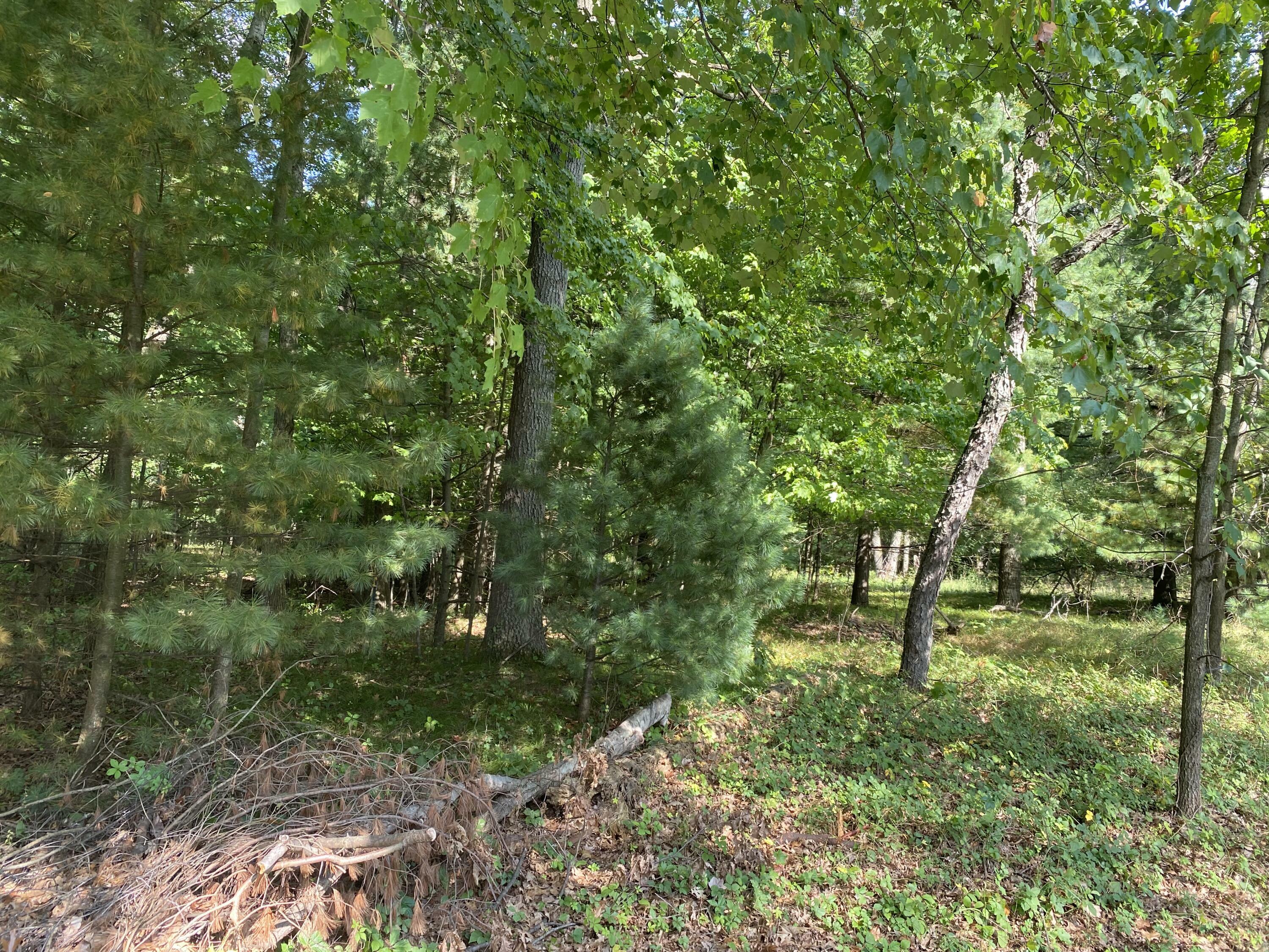 Property Photo:  N Shore Drive  MI 48632 