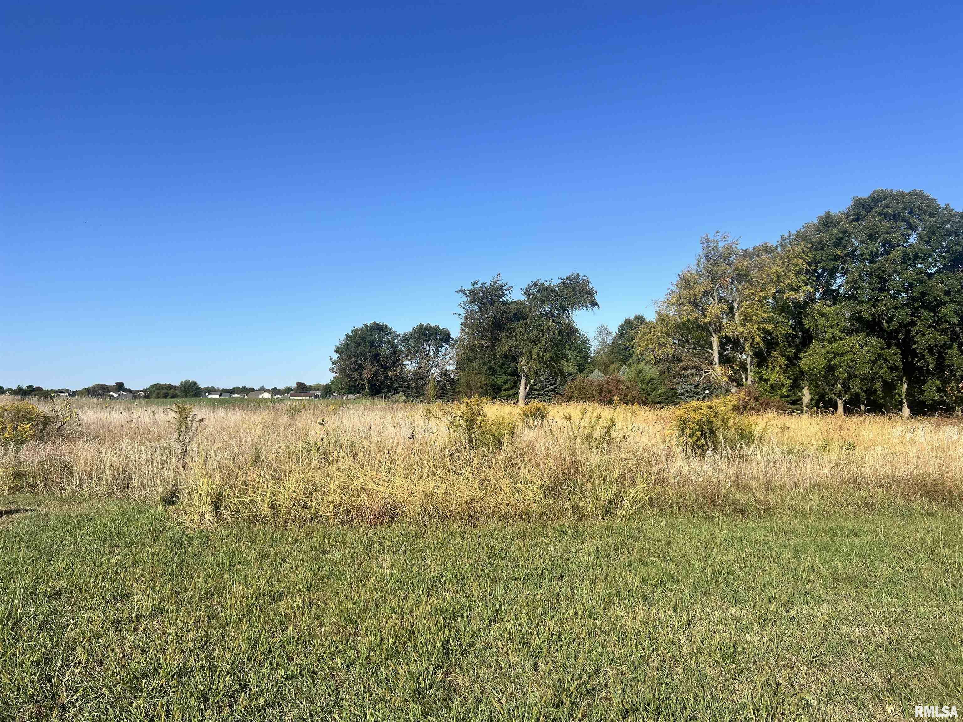 Lot 93 Brittany Court  Metamora IL 61548 photo