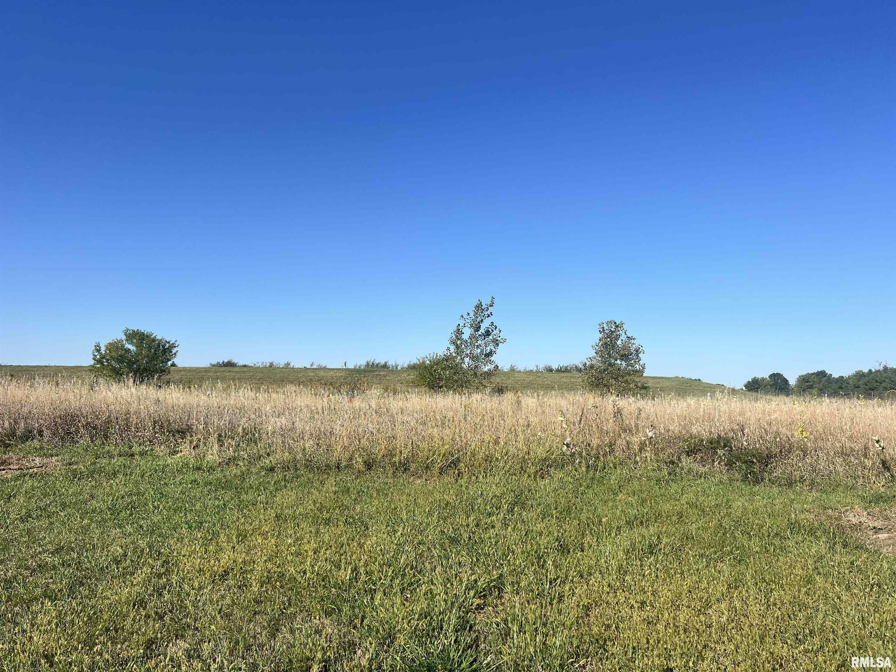 Lot 102 Brittany Court  Metamora IL 61548 photo