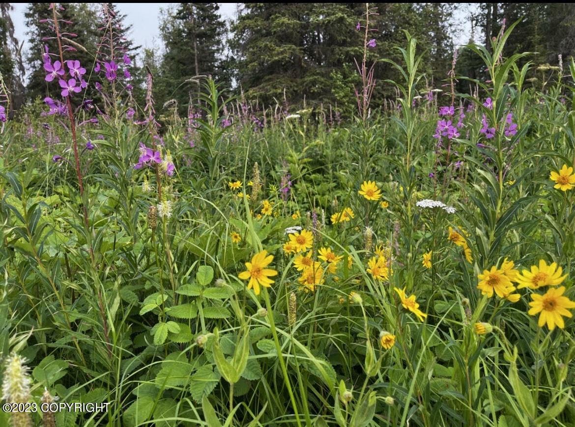 Property Photo:  38982 Cloud Berry  AK 99611 