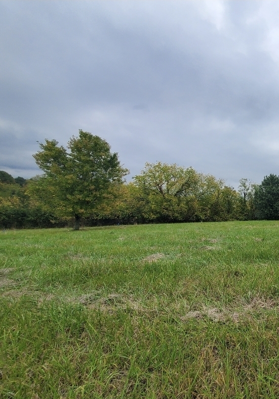 Property Photo: 0 Brooks Rd OH 45030