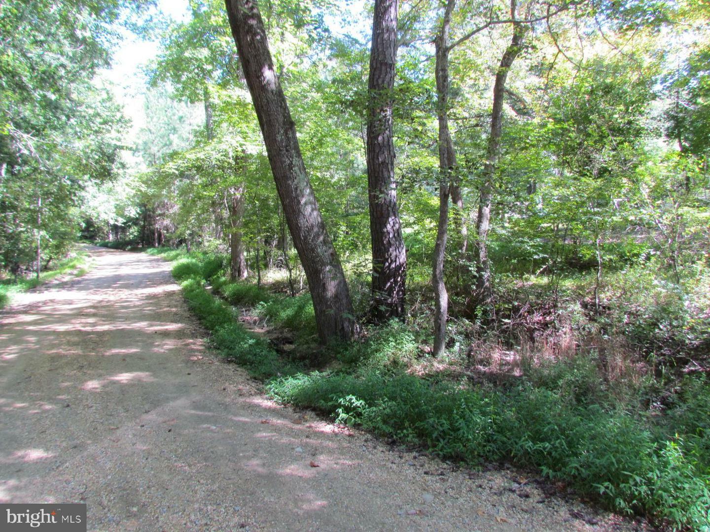 Property Photo:  20450 And Parcel 428 Old Hermanville And Hermanville Road  MD 20653 