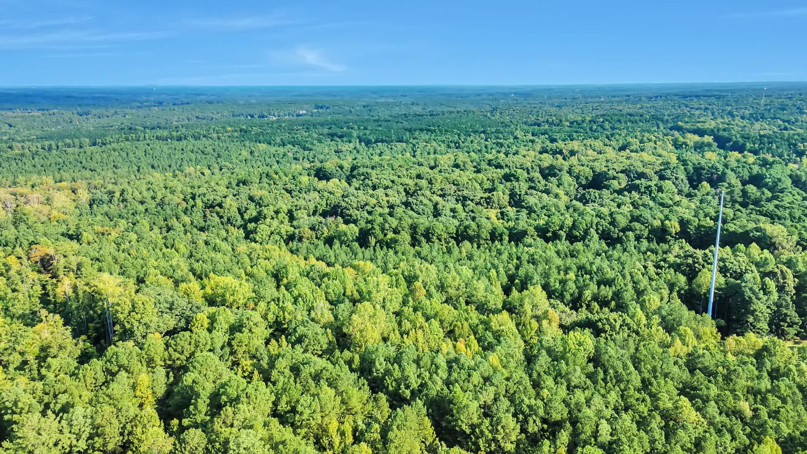 Property Photo: 15605 New Light Road NC 27587