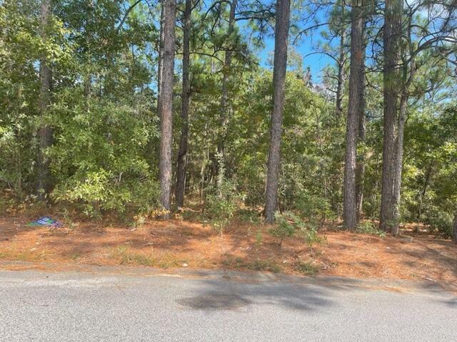 Property Photo:  2237 Moncrieff Street  GA 30906 