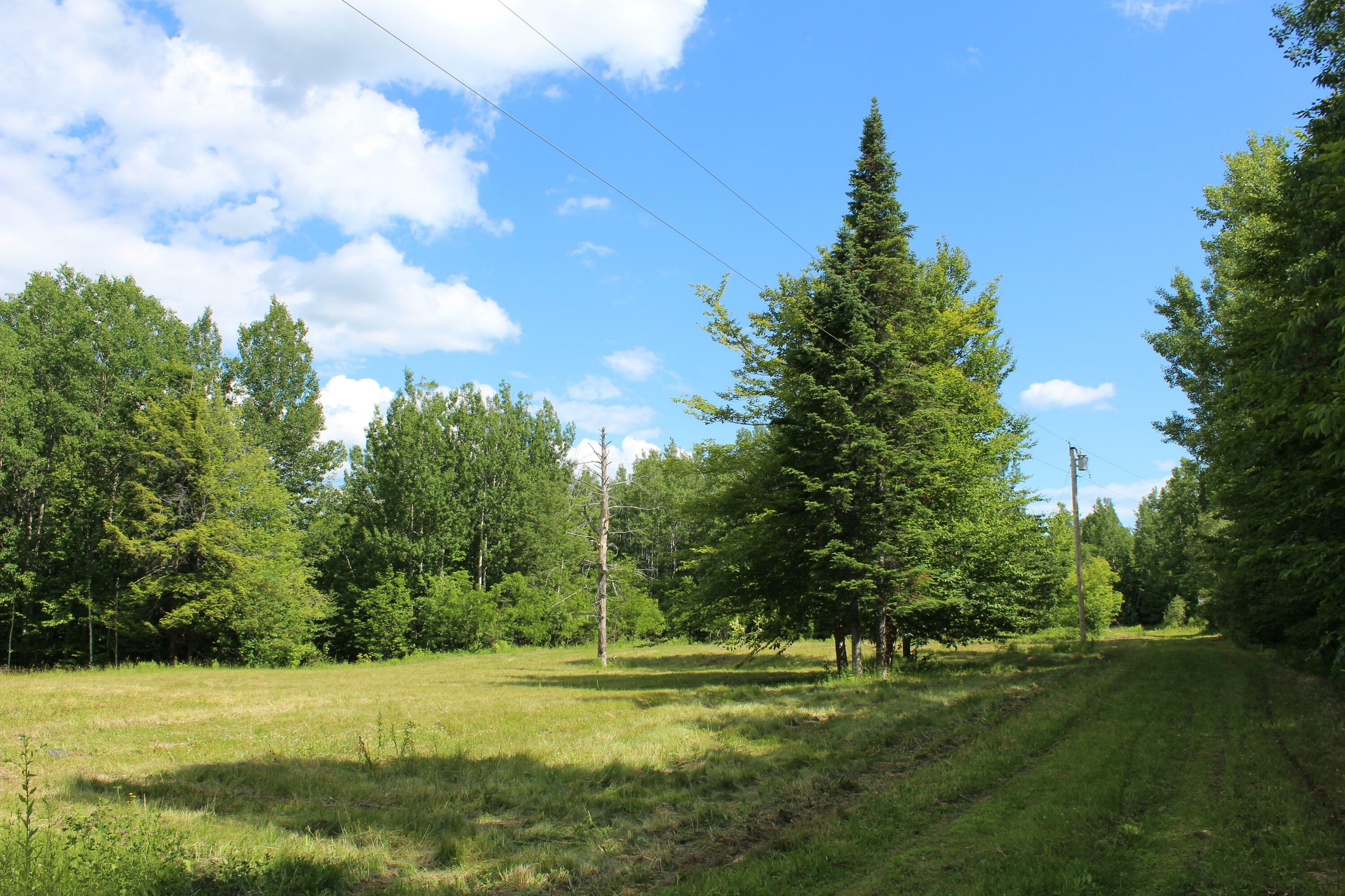 Property Photo:  0 Mooers Road  ME 04463 