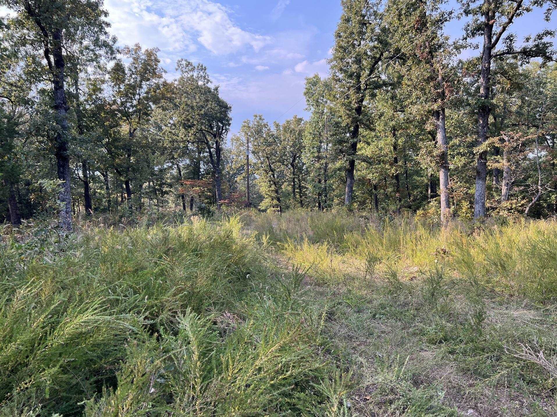 Property Photo:  Xx Inca Circle Hardy, Ar 72542  AR 72529 