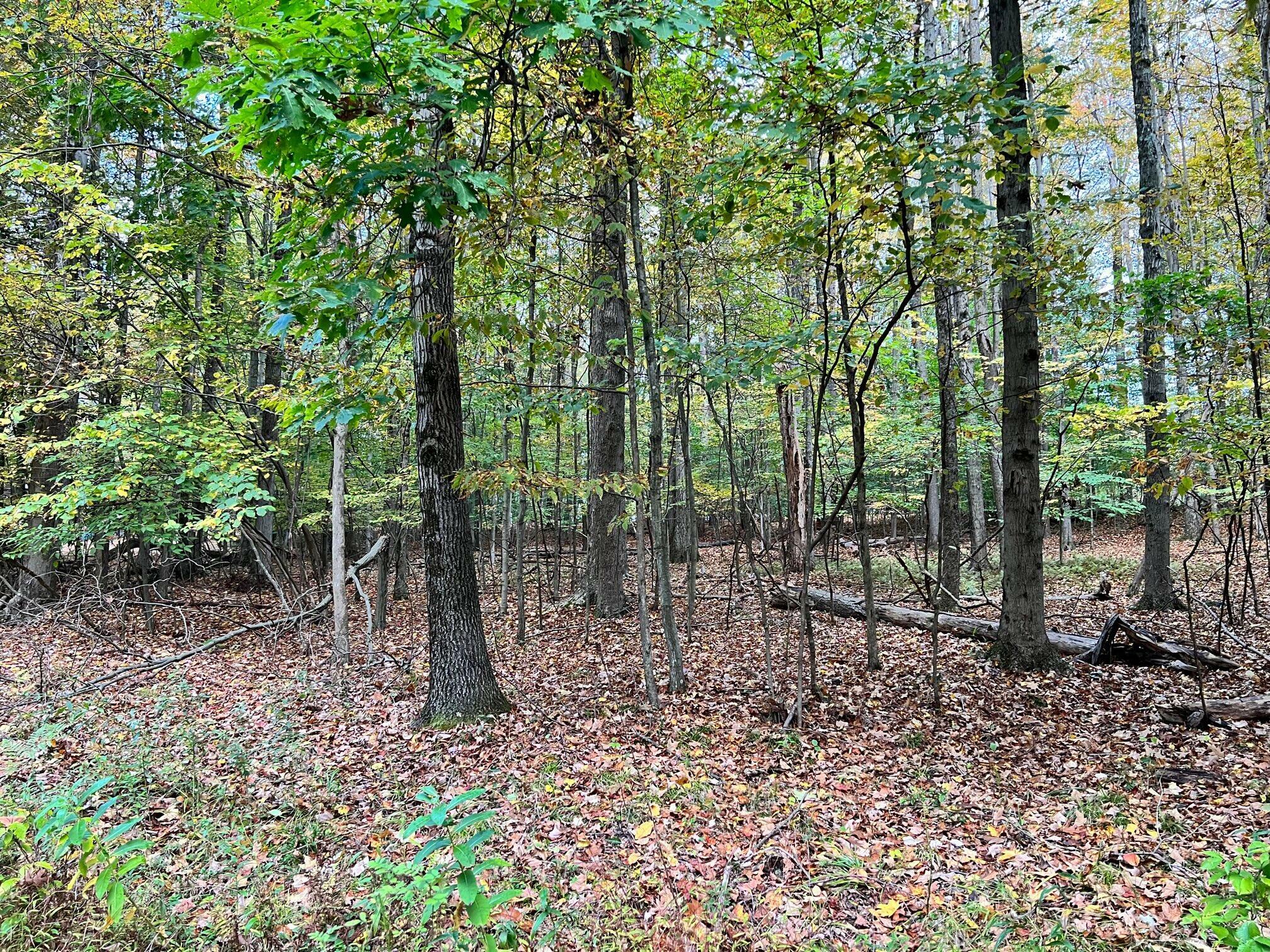 Property Photo:  25 Pinder Point Rd  PA 15801 