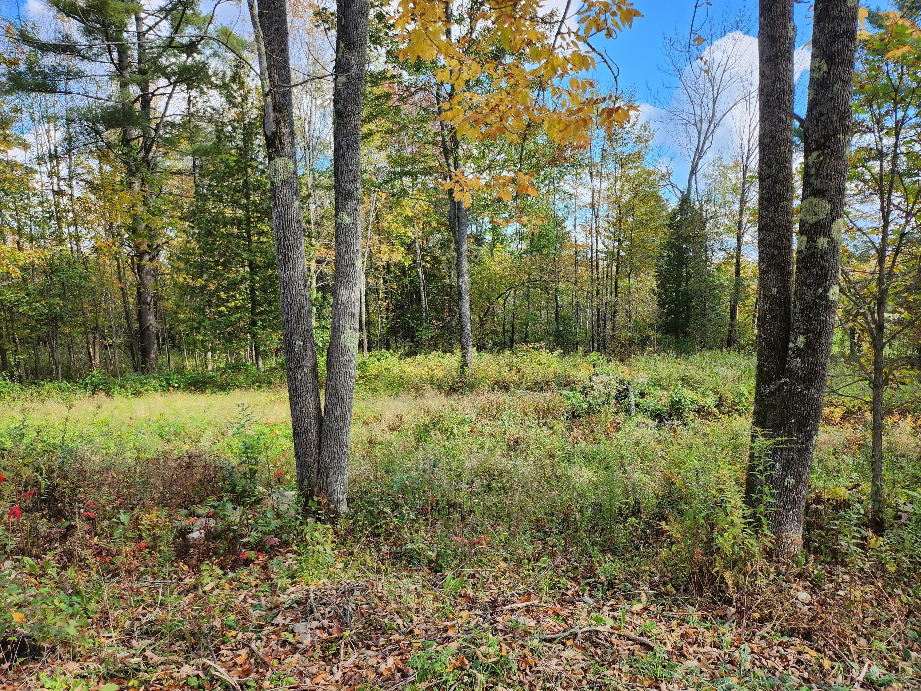 Property Photo:  Lot 24A Rutland Road  ME 04953 