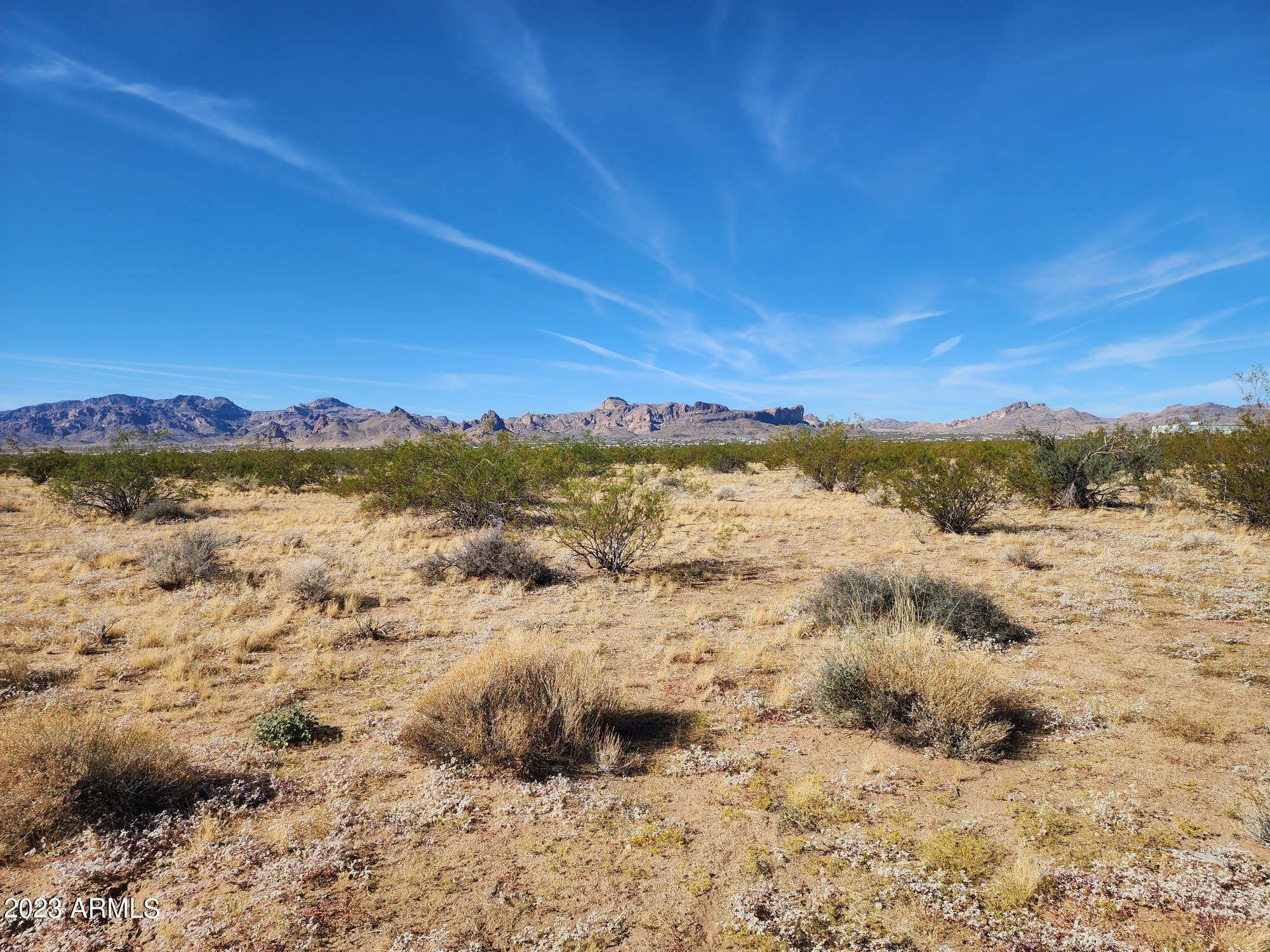 Property Photo:  1661 S Morman Flat Road 6  AZ 86413 