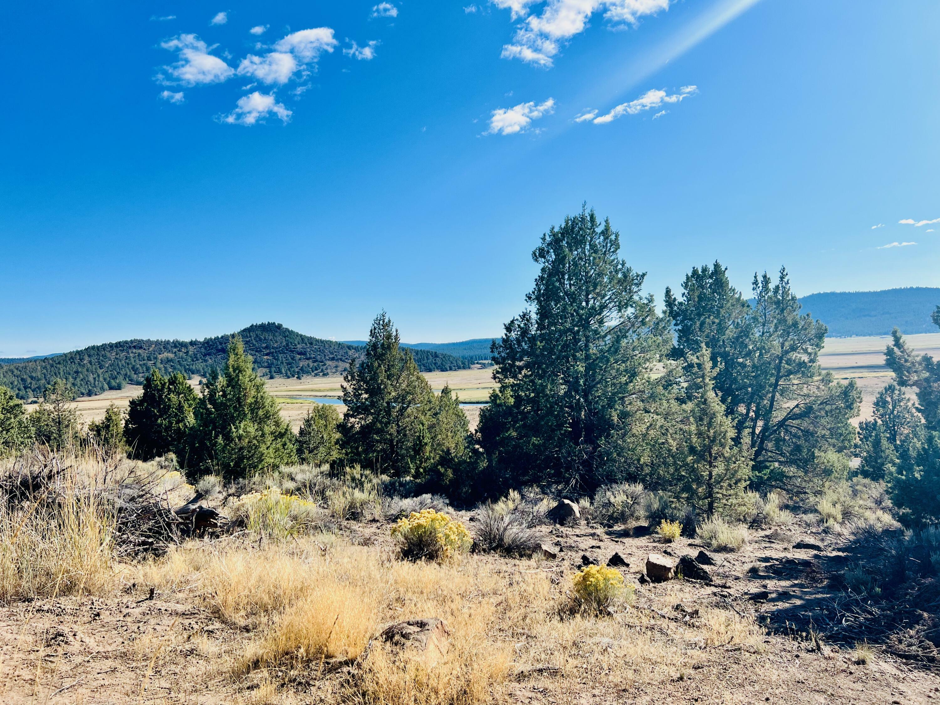 Property Photo:  Shasta Street Lot 24  OR 97639 