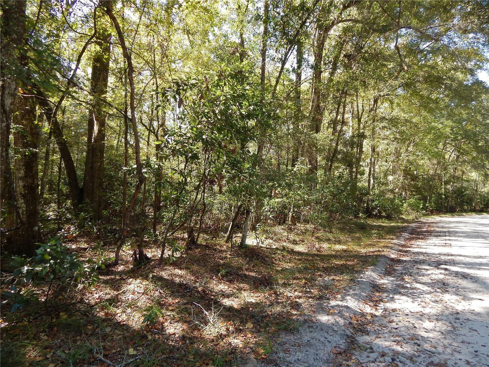 00 River Run Road  Branford FL 32008 photo