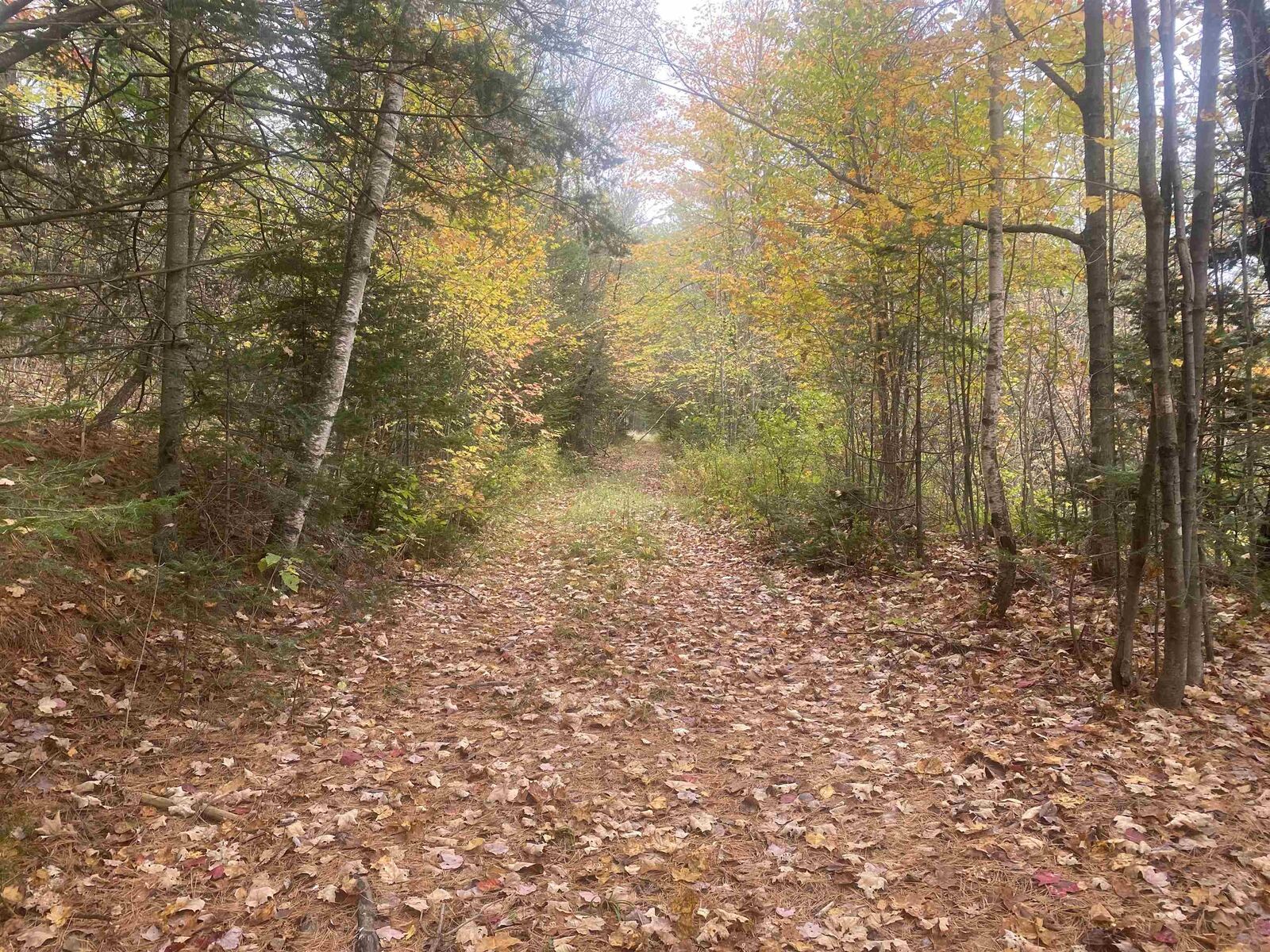Property Photo:  0 Ralph Road  VT 05036 
