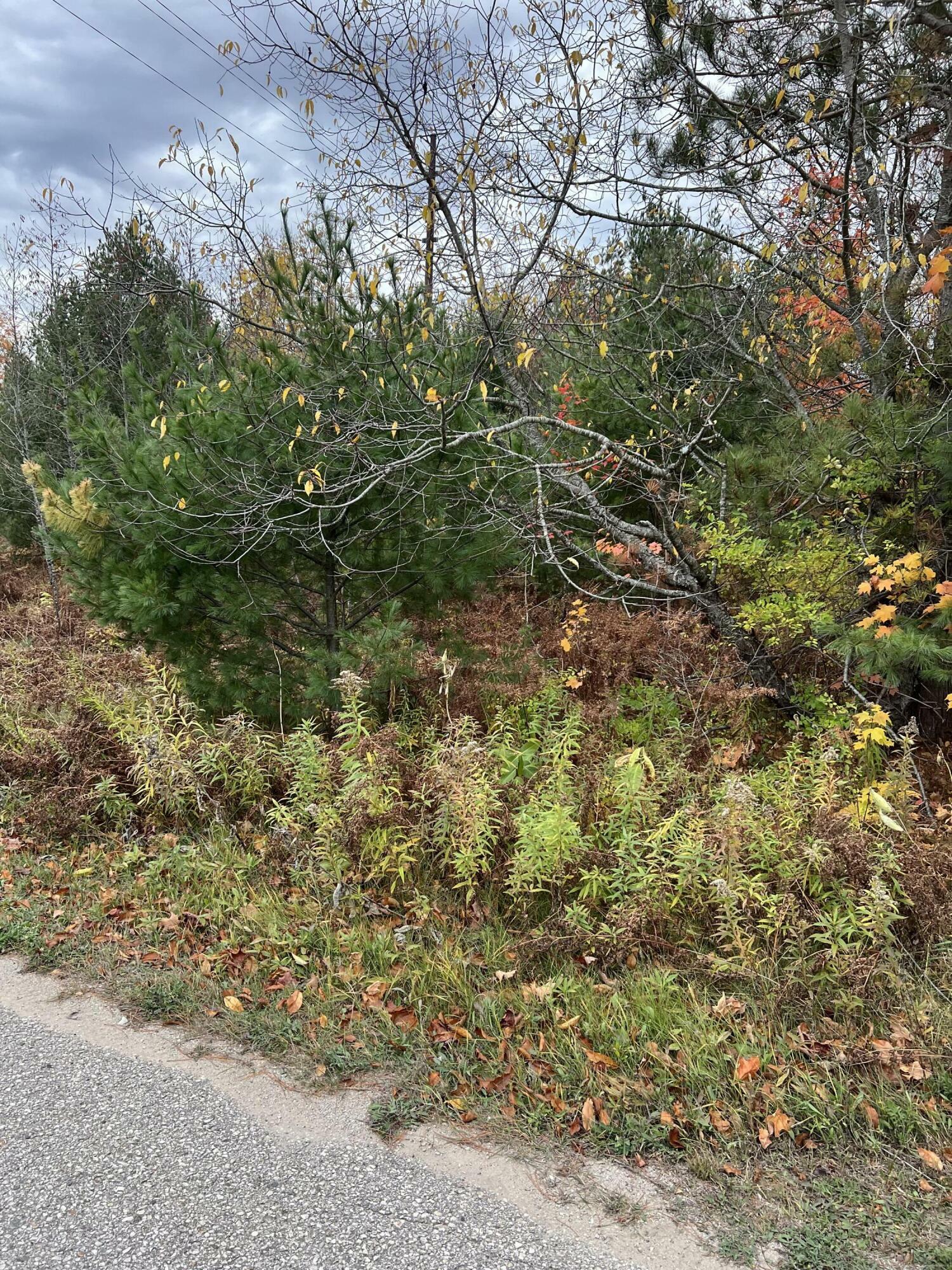 Property Photo:  Lot 15 Sherry Lynn Drive  MI 49827 