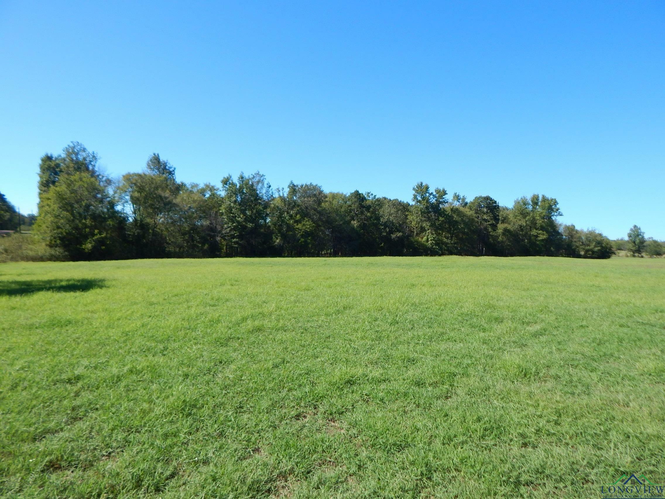 Property Photo:  Tbd 11 Acres Fox Rd Lot 6  TX 75644 