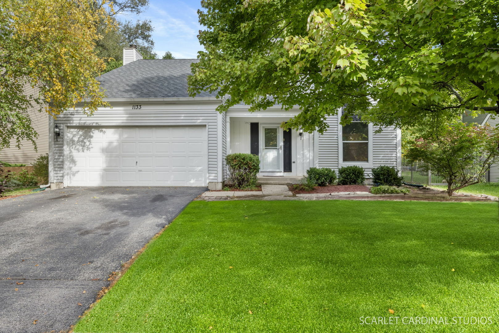 Property Photo:  1133 Gateshead Drive  IL 60564 