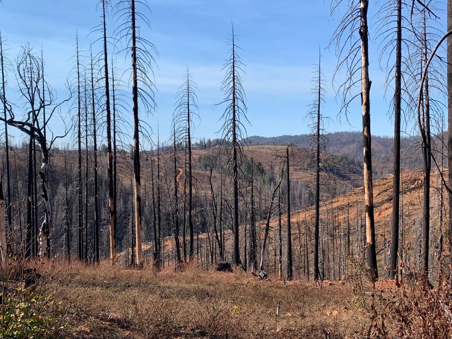 Property Photo: 40 Acres Big Canyon Loop CA 95636