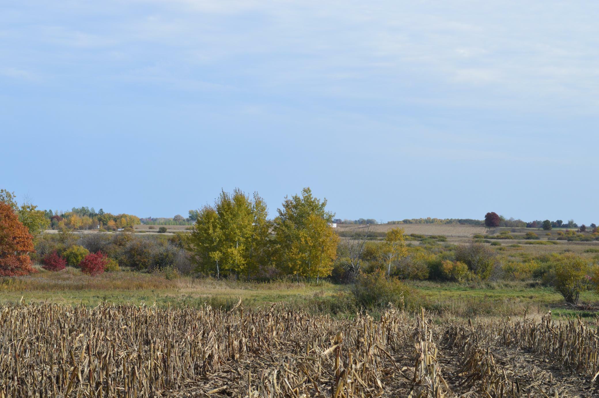 Property Photo:  Tbd Lot D Mayhew Lake Road NE  MN 56379 