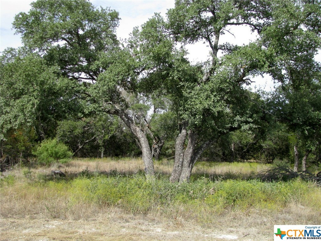 Property Photo:  3180 Private Road 42111  TX 76525 