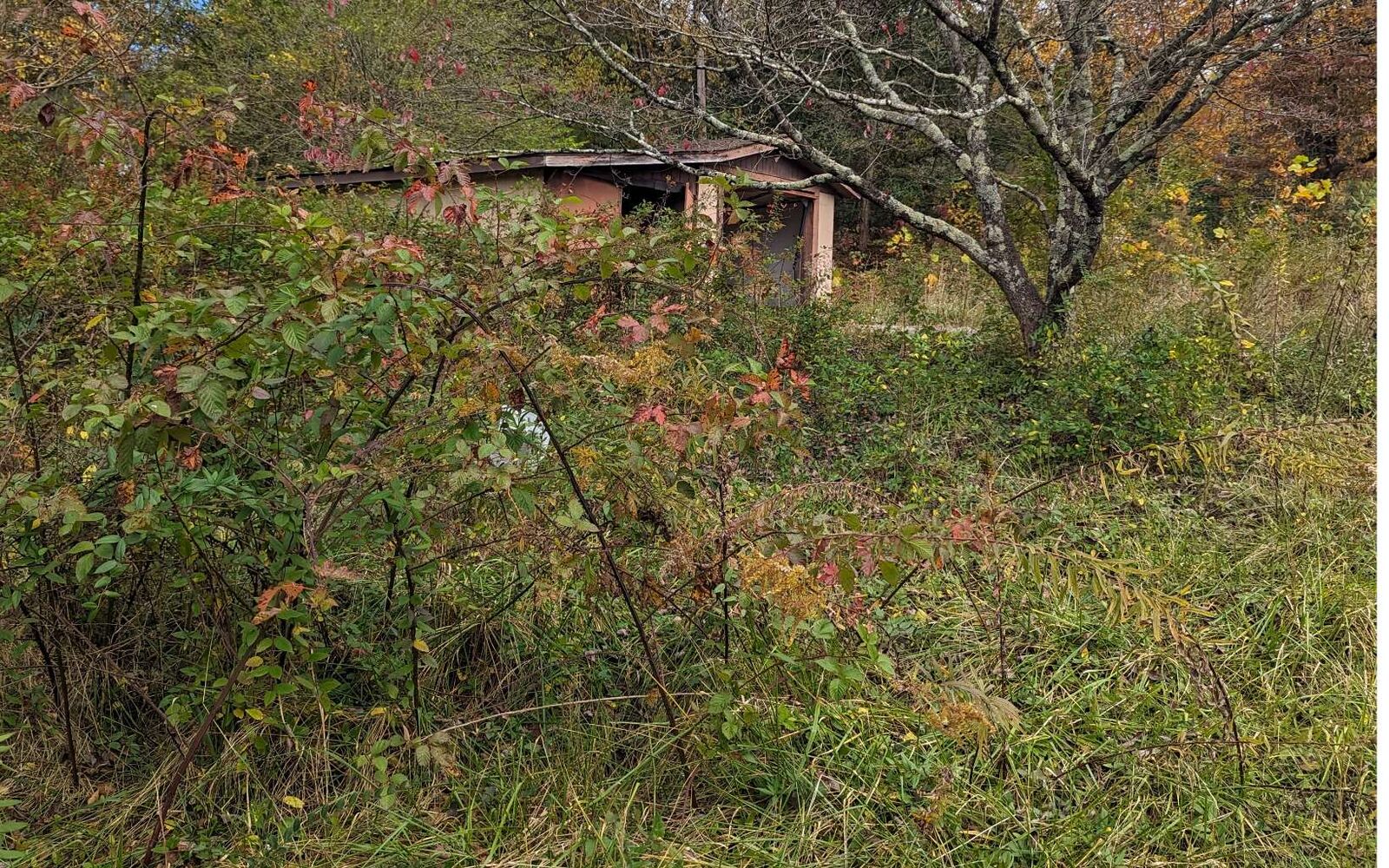 Property Photo:  19 Wilson Street  GA 30513 