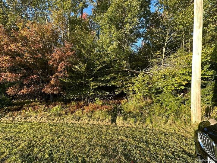 Property Photo: Ulster Heights Road NY 12733