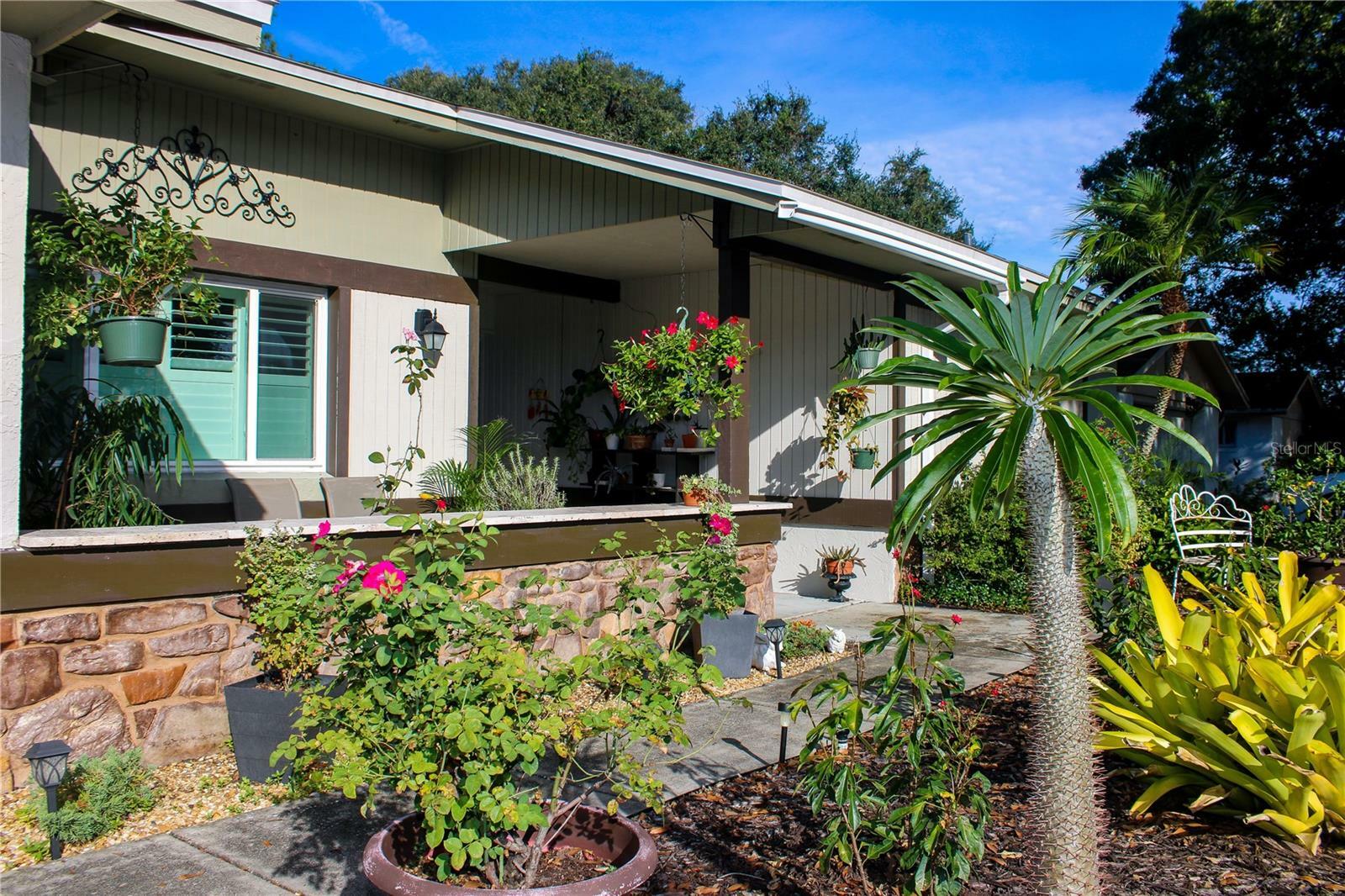 Property Photo: 3024 Ripplewood Drive FL 33584