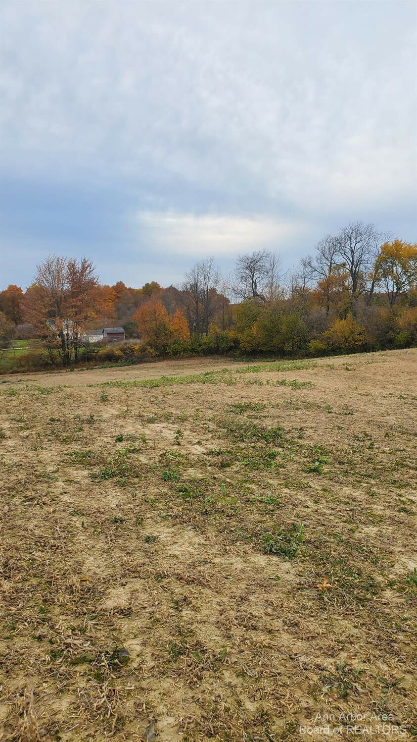 Property Photo:  0 Saline Waterworks Road  MI 48158 