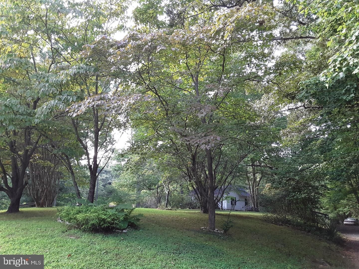 Property Photo:  7225 Clifton Road  VA 20124 