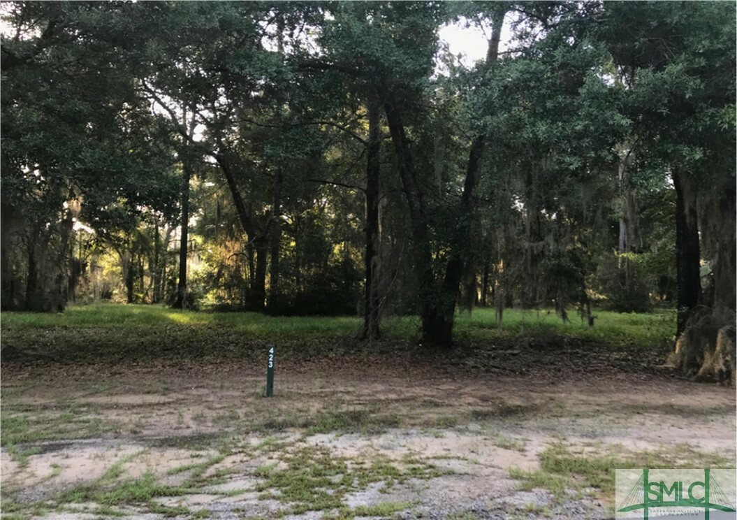 Property Photo:  Lot 423 Coopers Landing Drive  GA 31331 