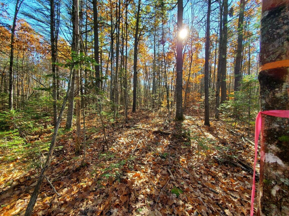 Property Photo: Lot 4&5 Stillwater Avenue ME 04401