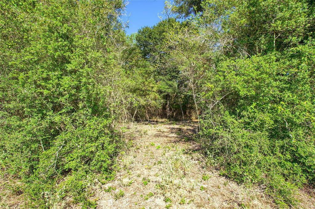 Property Photo:  00 County Rd 151  TX 77831 