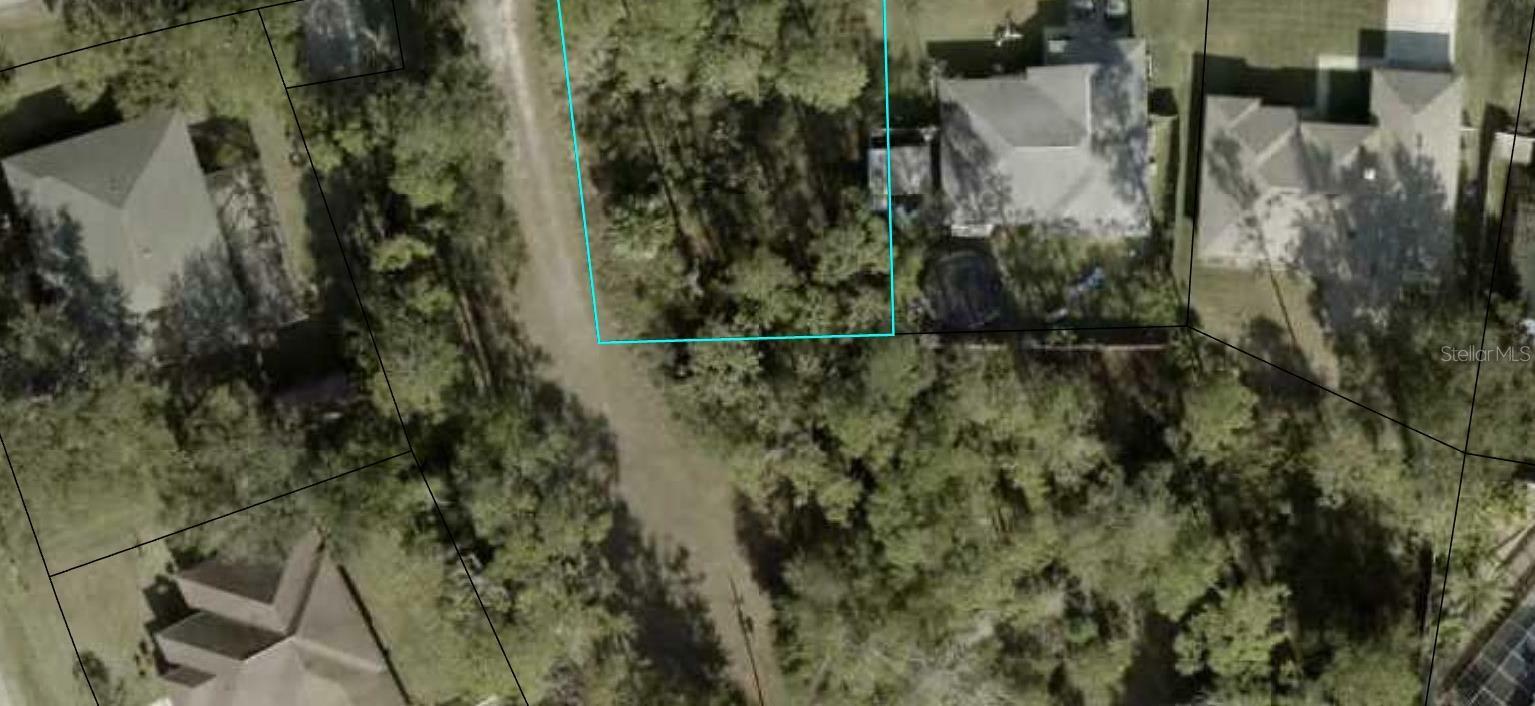 Property Photo:  70 Wellwater Drive  FL 32164 